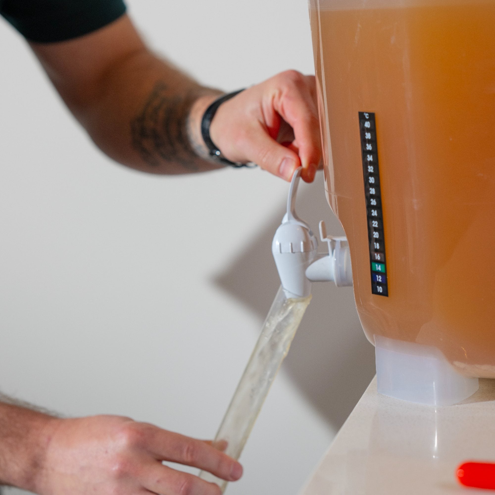 The Voyage: IIPA Advanced Recipe Pack