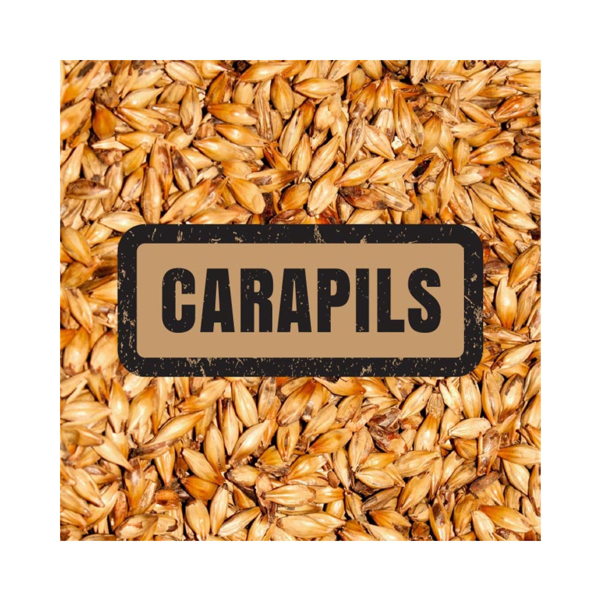 Carapils Malt (250g)