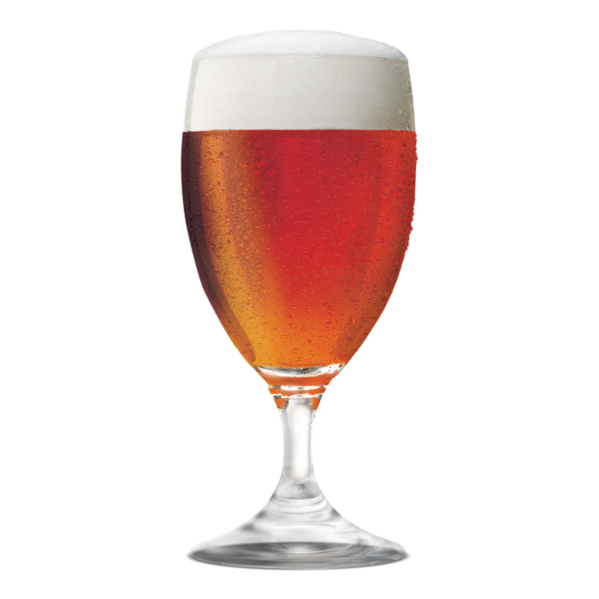 Festive Cranberry Ale