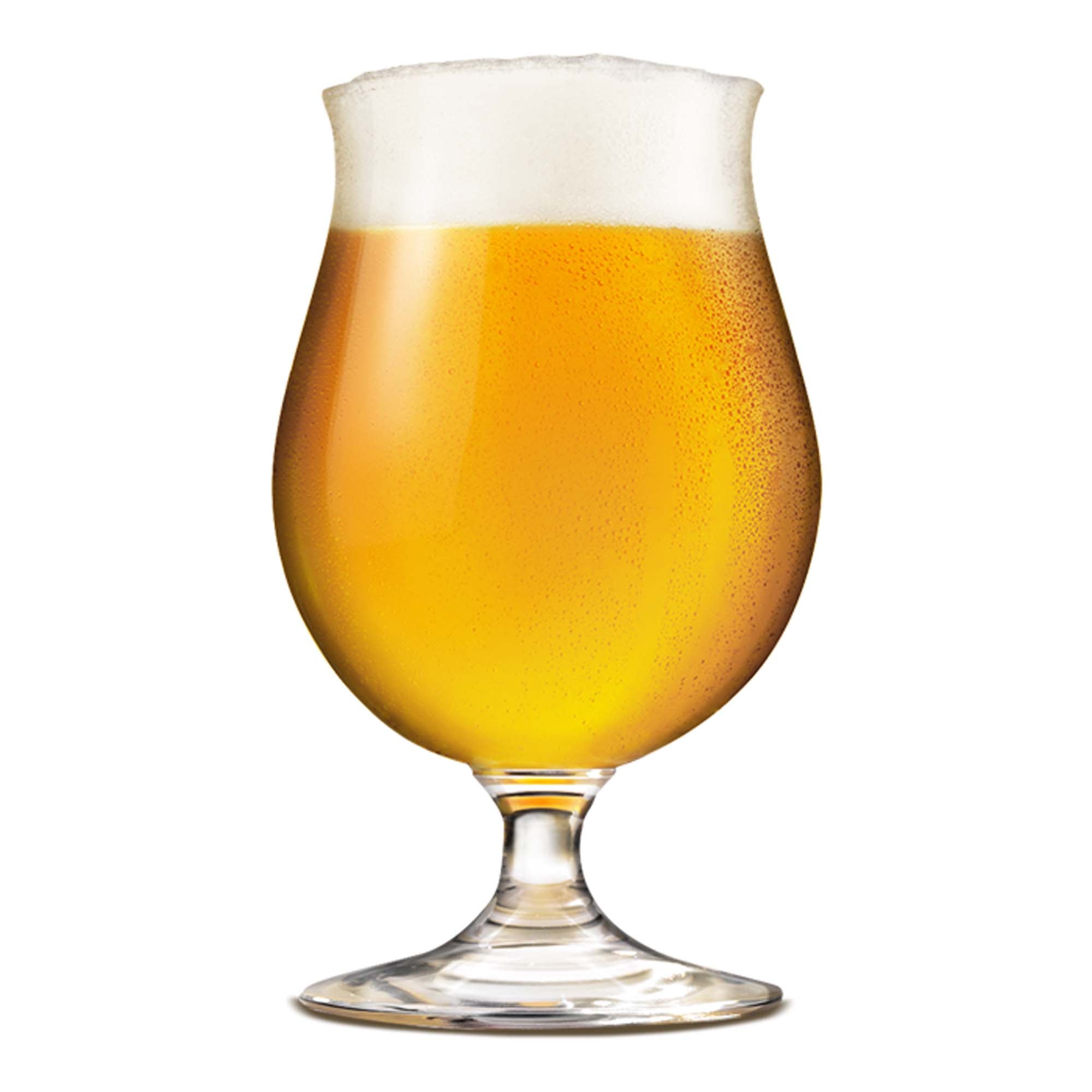 Shark Fin Summer Ale