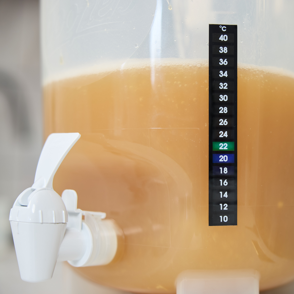 Coopers DIY Beer Adhesive Thermometer Strip