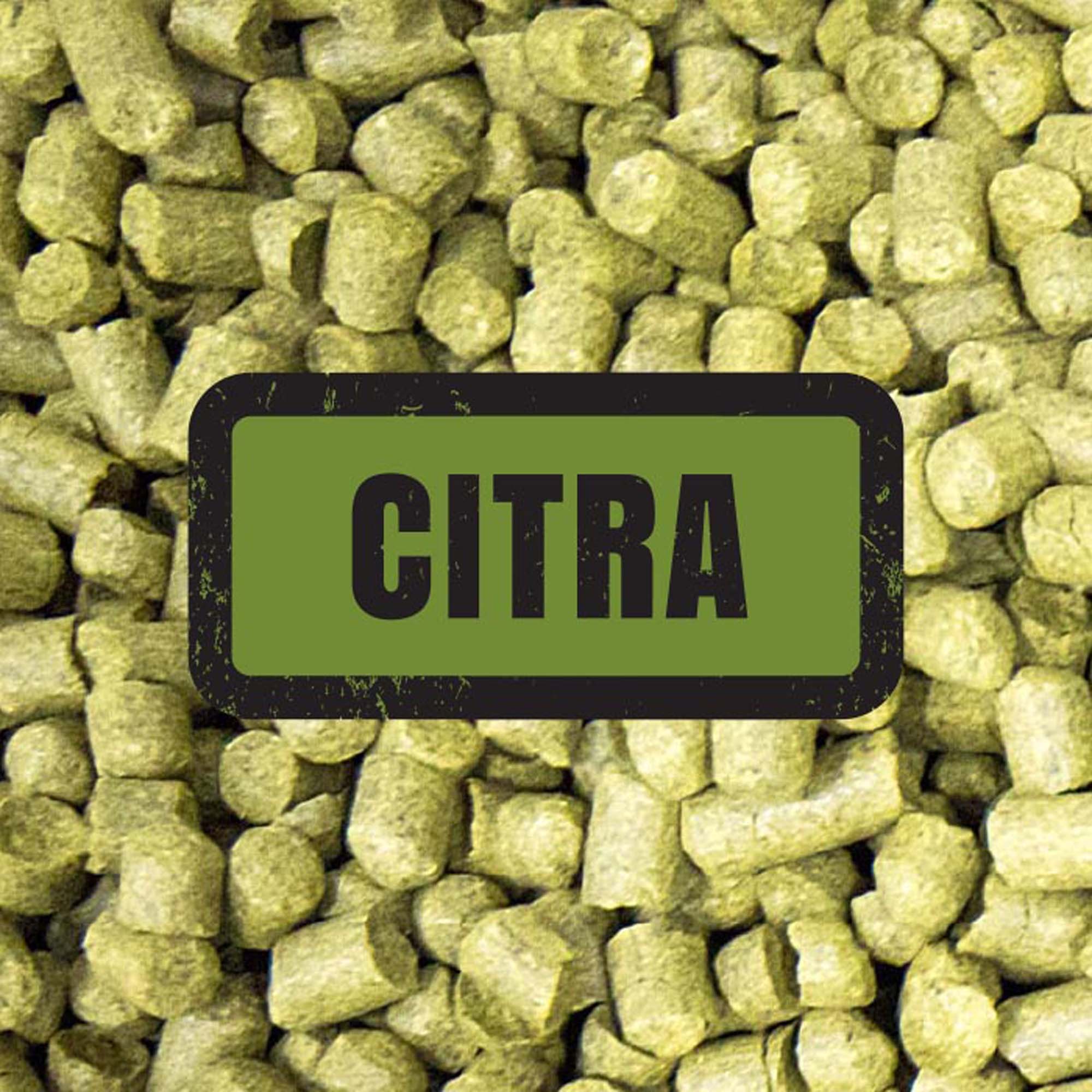 Citra Hops (25g)