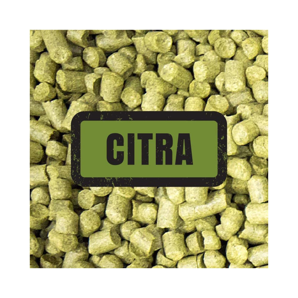 Citra Hops (25g)