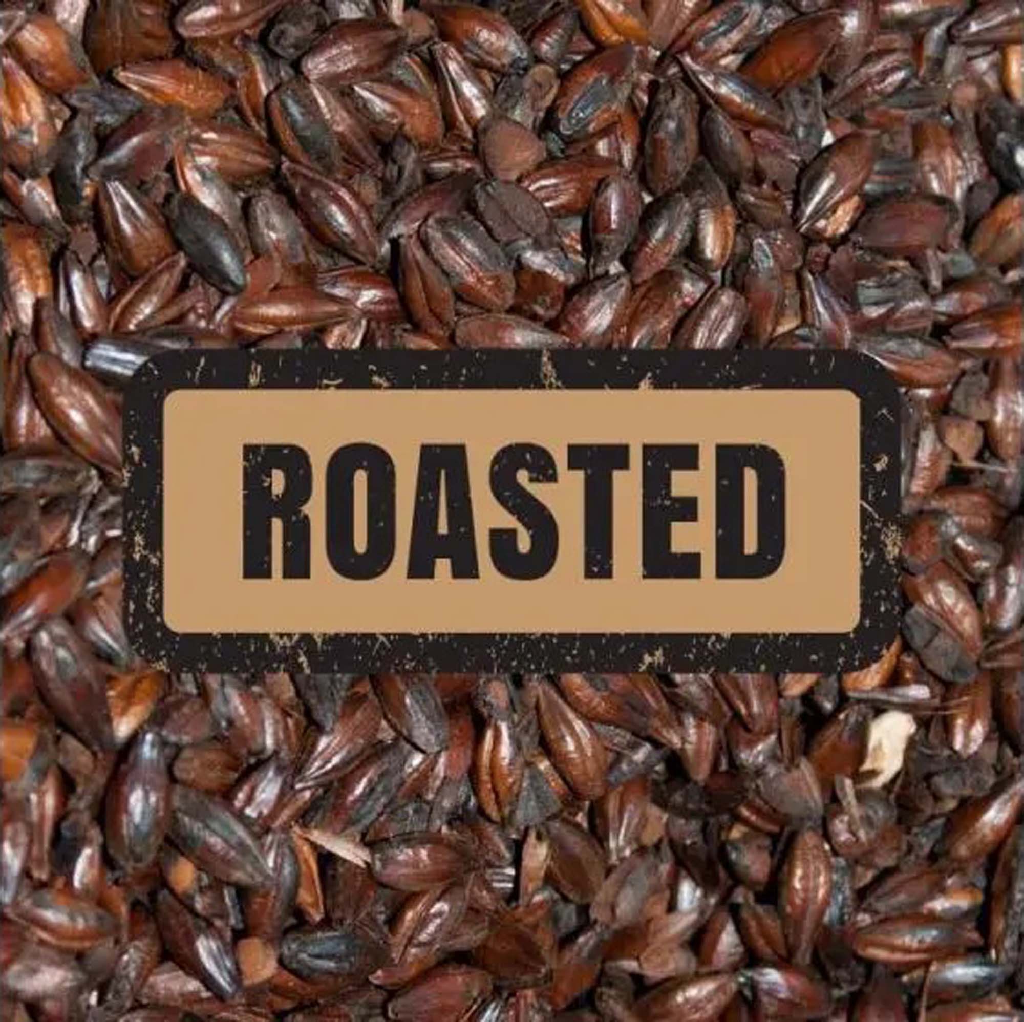 Roasted Barley (100g)